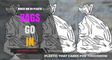 Plastic Bag Disposal Guide: Which Bin to Use for Recycling