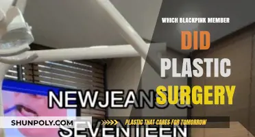 Blackpink Plastic Surgery Rumors: Which Member Had Work Done?