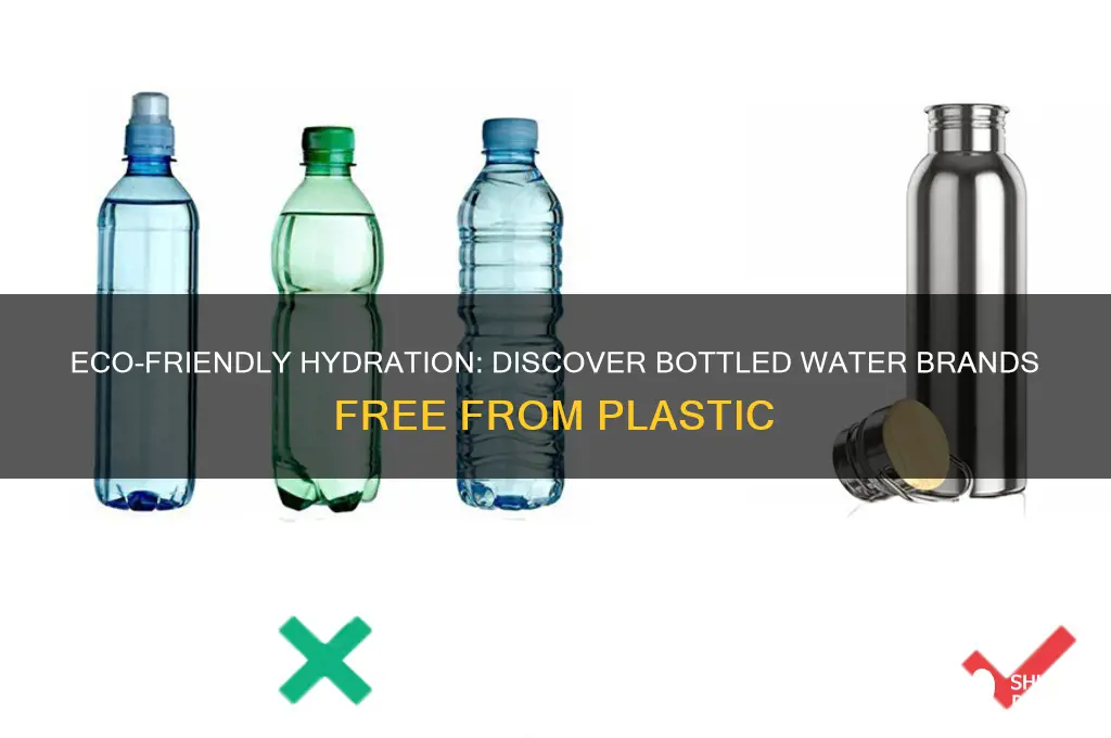 which bottled water contains no plastic
