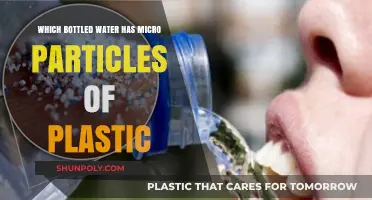 Microplastics in Bottled Water: Which Brands Contain Plastic Particles?