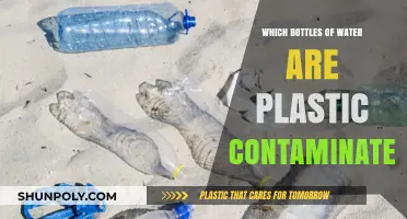 Plastic Contamination in Bottled Water: Which Brands Are Affected?