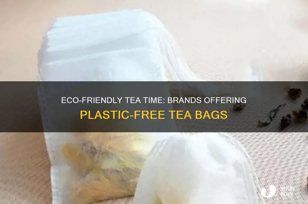 which brand of tea bags do not contain plastic