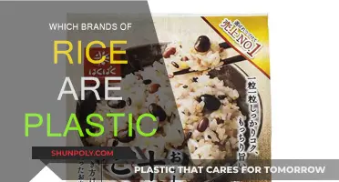 Are Plastic Rice Brands Real?