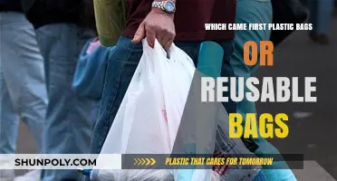 Plastic vs. Reusable: Unraveling the Timeline of Bag Evolution