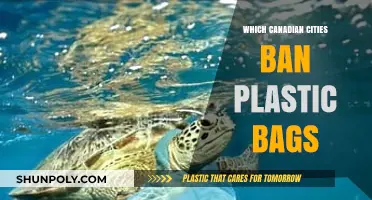 Canadian Cities Leading the Charge: Where Plastic Bags Are Banned