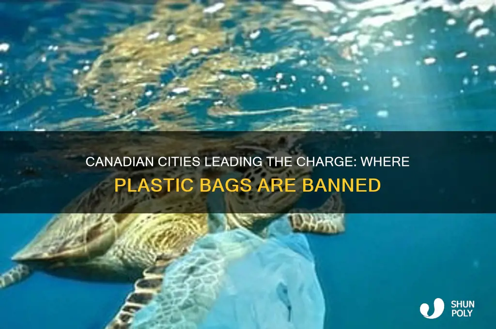 which canadian cities ban plastic bags