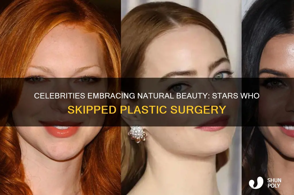 which celebrities have had no plastic surgery