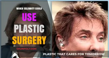 Celebrities Who Could Benefit from Plastic Surgery: Speculations and Insights