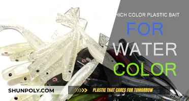 Plastic Bait: Choosing the Right Color for Water Clarity