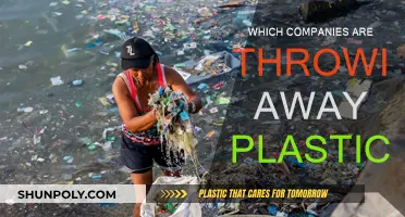 Plastic Polluters: Companies Dumping Our Oceans