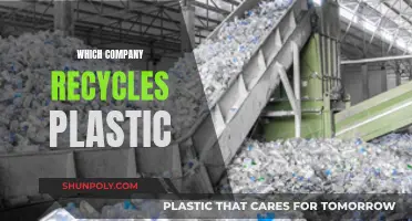 Innovative Companies Leading the Way in Plastic Recycling