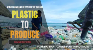 Ocean Plastic: Recycling for a Sustainable Future