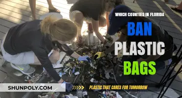 Florida Counties Leading the Way: Plastic Bag Bans Explained
