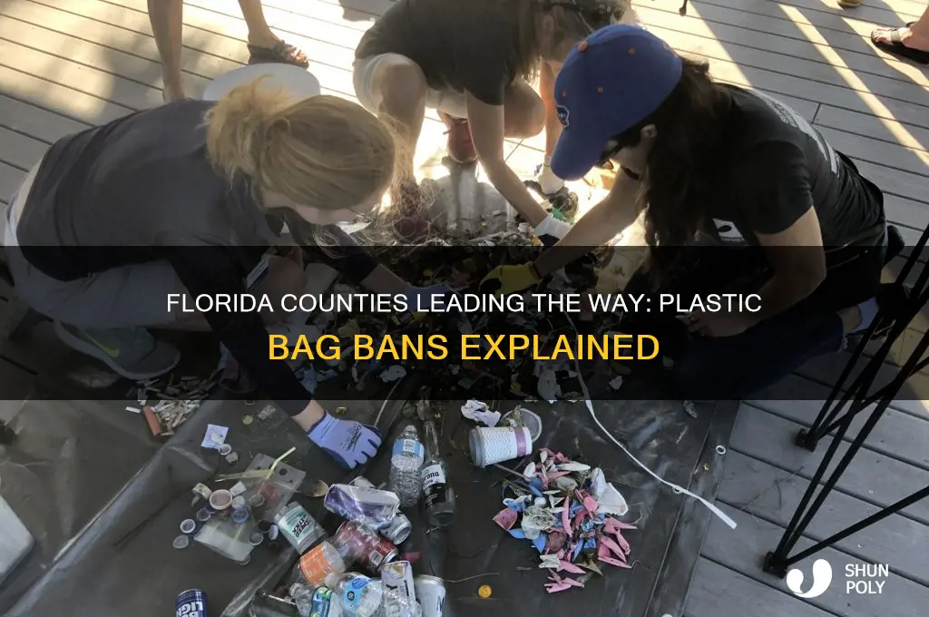 which counties in florida ban plastic bags
