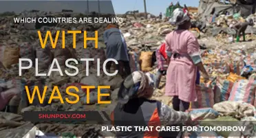 Battling Plastic Waste: Global Efforts and Struggles