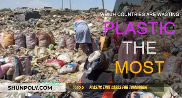 Plastic Waste: Global Offenders Revealed