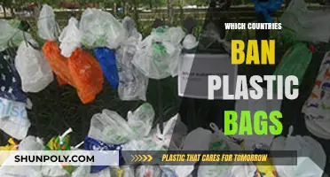 Global Shift: Countries Banning Plastic Bags for a Greener Future