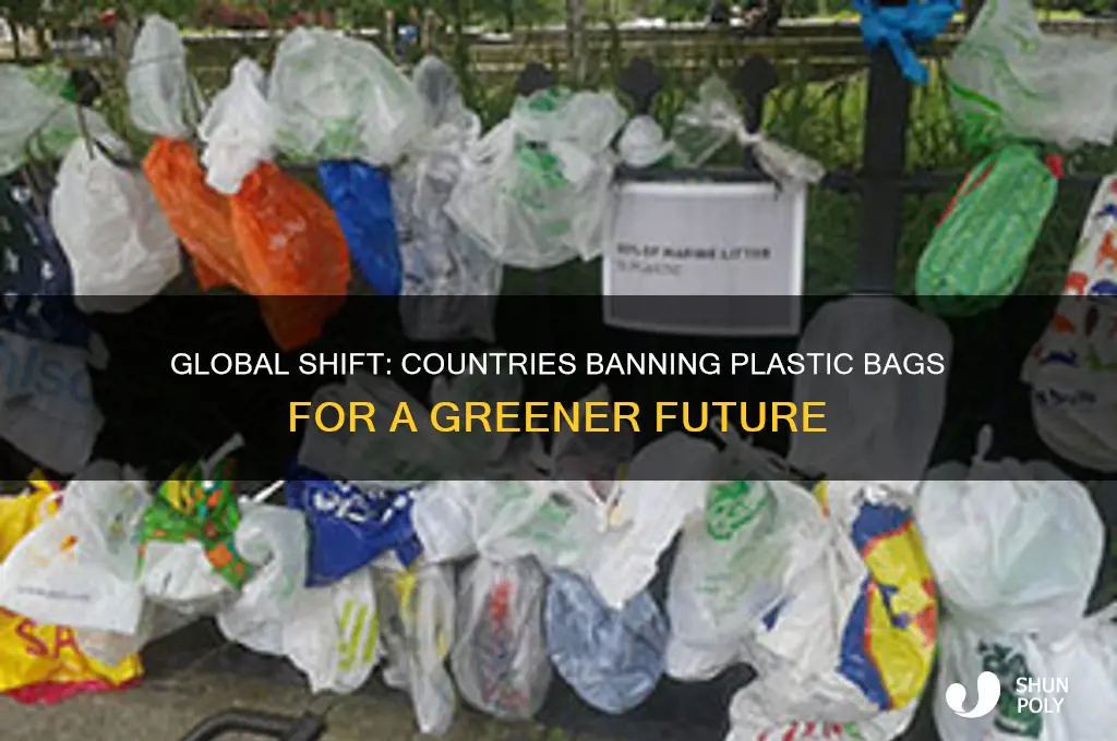 Global Shift: Countries Banning Plastic Bags For A Greener Future
