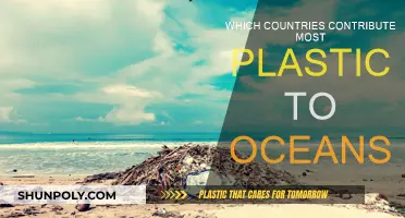 Plastic Pollution: Which Countries Are the Worst Offenders?