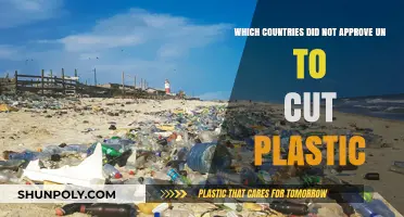 UN Plastic Cut: Which Nations Opposed the Global Ban?