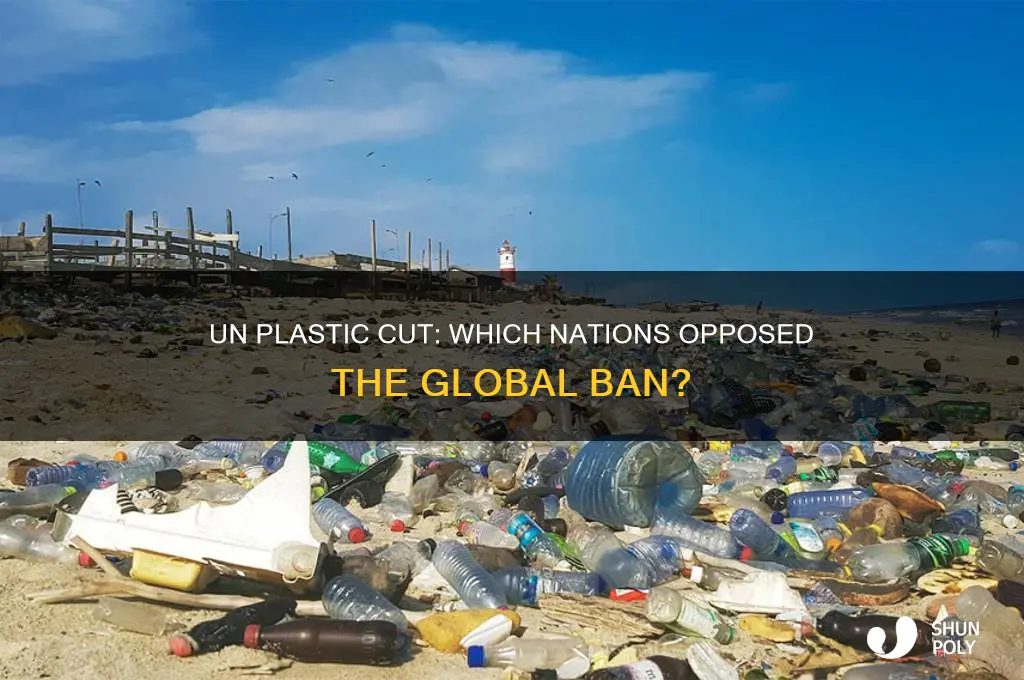 which countries did not approve un to cut plastic