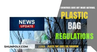 Global Plastic Bag Policies: Nations Yet to Implement Regulations