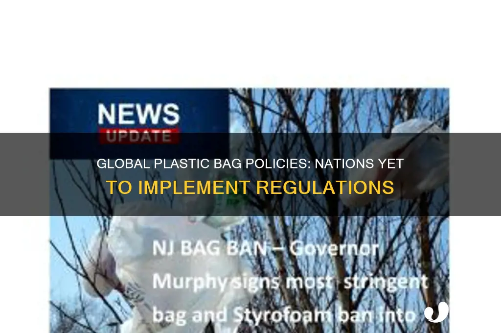 which countries have not made national plastic bag regulations