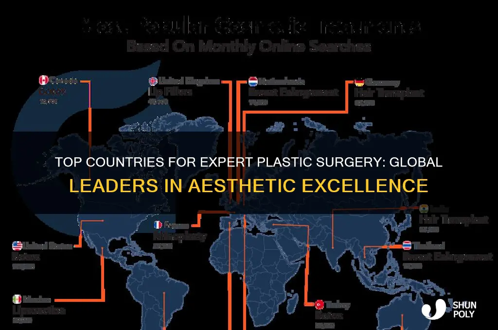 which countries have the best plastic surgeons