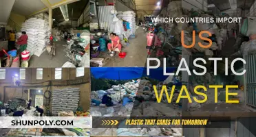 The Plastic Waste Trail: US Exports and Global Impact