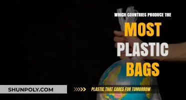 Global Plastic Bag Production: Top Countries and Environmental Impact