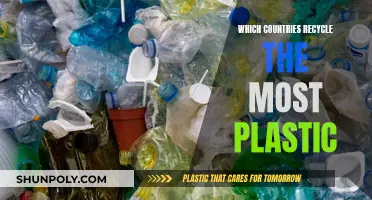 Recycling Champions: Global Leaders in Plastic Waste Management