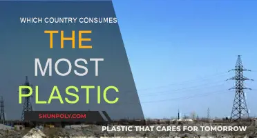 Plastic Consumption: Which Country Leads the World?