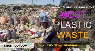 Plastic Waste: Which Country Leads in Pollution?