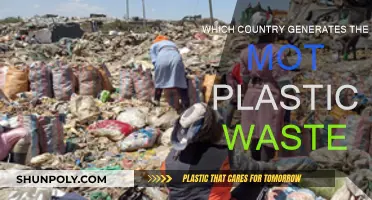 Plastic Pollution: Which Country is the Worst Offender?