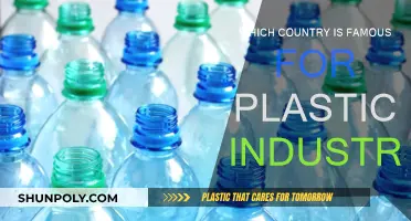Plastic Industry Hub: Which Country Reigns Supreme?