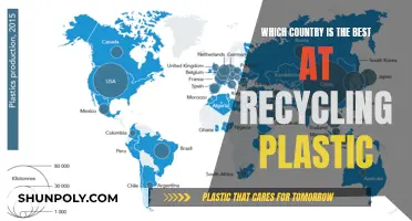 Recycling Champions: Which Country Leads in Plastic Recycling?