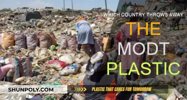 Plastic Pollution: Which Country Wastes the Most?