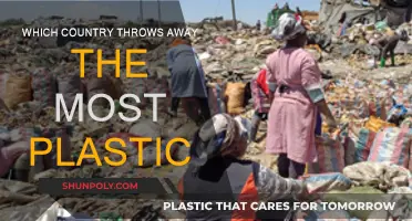 Plastic Waste: Which Country Leads in Plastic Pollution?