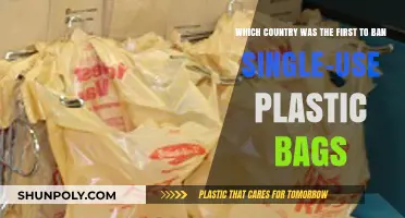 Pioneering Plastic Ban: The First Country to Outlaw Single-Use Bags
