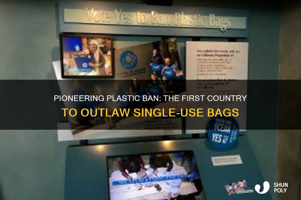 which country was the first to ban single-use plastic bags