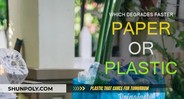 Paper vs Plastic: Which Decomposes Faster?