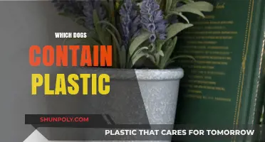 Plastic in Dogs: What You Need to Know