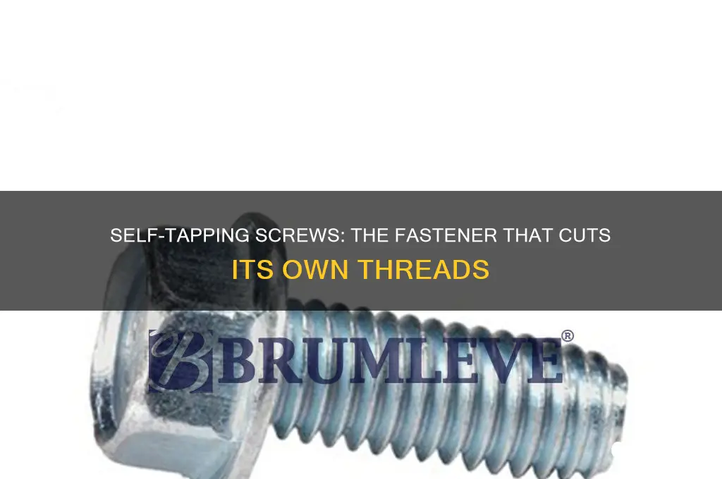 which fastener cuts its own threads into metal or plastic