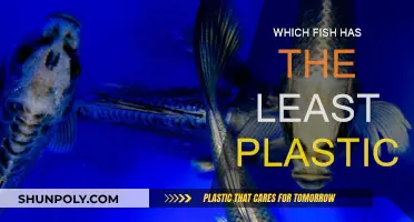 Fish with the Least Plastic: A Safe Bet