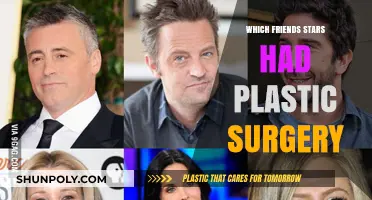 Friends Stars Plastic Surgery: Who Got Work Done?