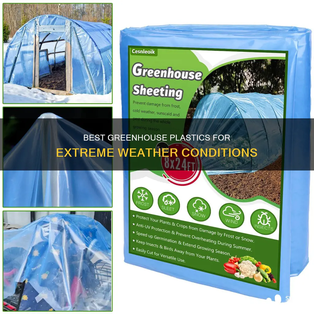 which greenhouse plastic for 100 weather