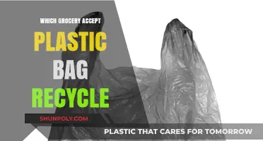 Where to Recycle Plastic Bags: Grocery Stores That Accept Them