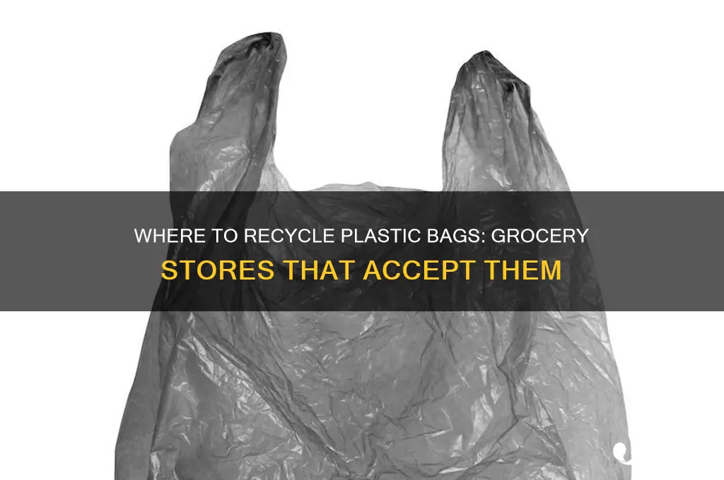 which grocery accept plastic bag recycle