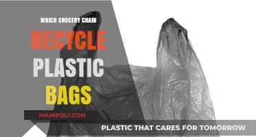 Eco-Friendly Shopping: Which Grocery Chains Recycle Plastic Bags?