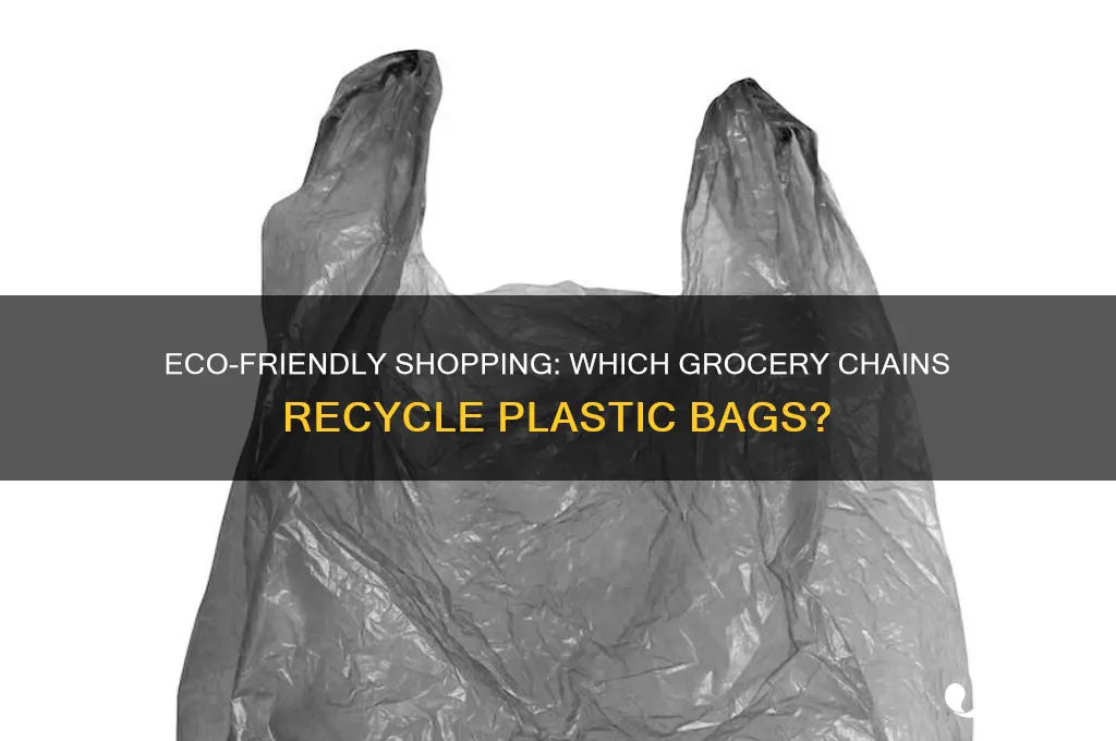 which grocery chain recycle plastic bags